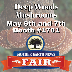 Mother Earth New Fair Asheville NC
